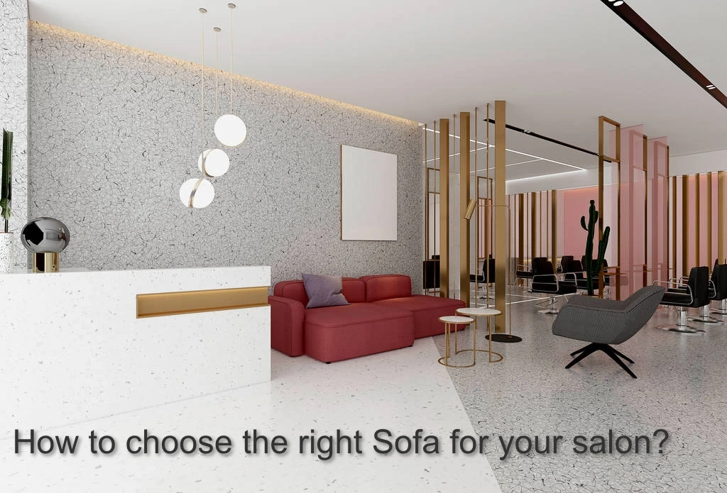 How to choose the right Sofa for your salon (1)