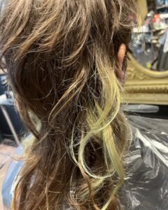Fix Dry and Damaged Hair at Home