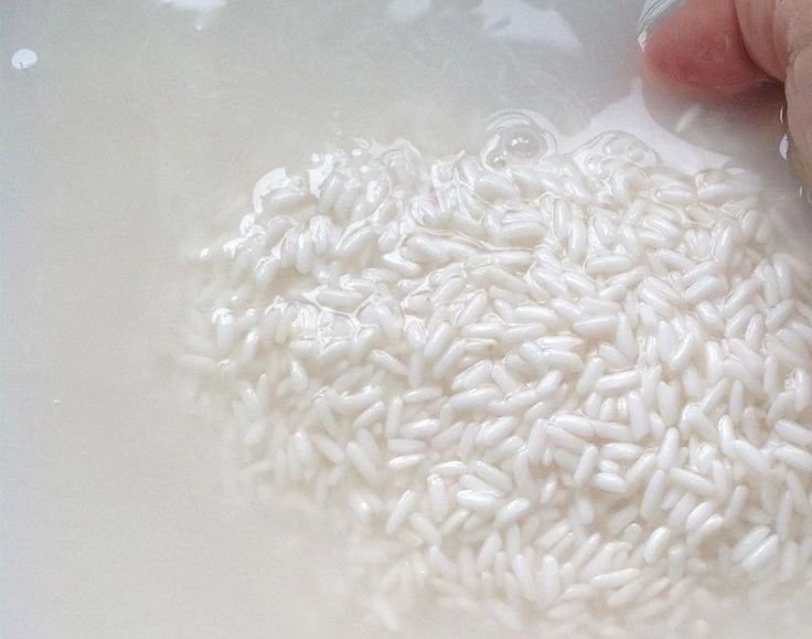 RICE WATER